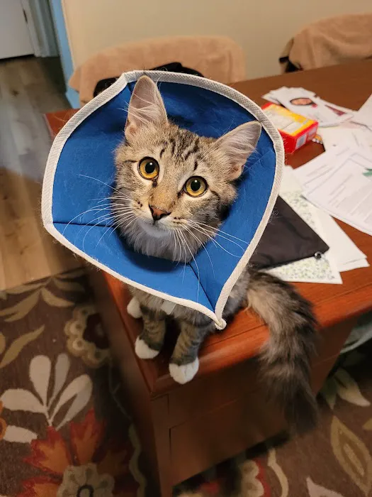 Spring Creek Animal Hospital 12