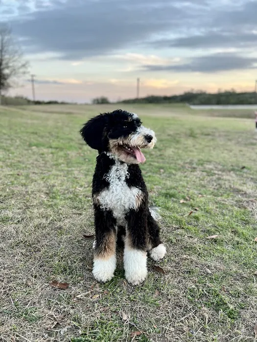 Spring Creek Animal Hospital 12