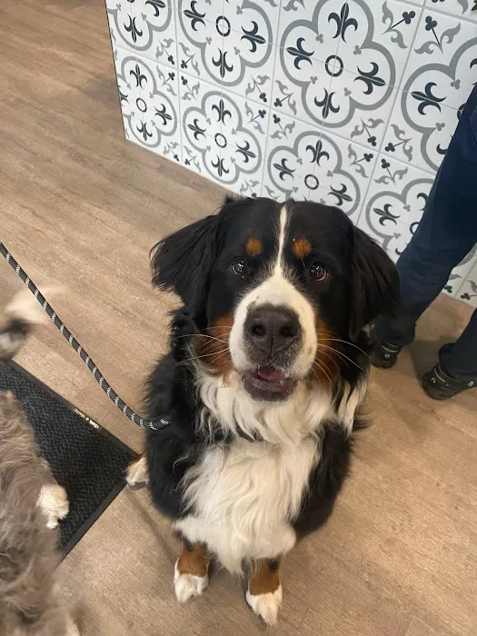 Heritage Oaks Animal Hospital 4