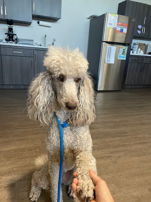 Heritage Oaks Animal Hospital 9
