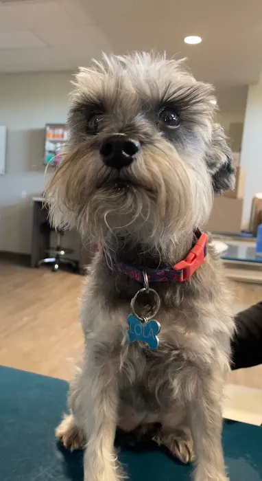 Heritage Oaks Animal Hospital 3