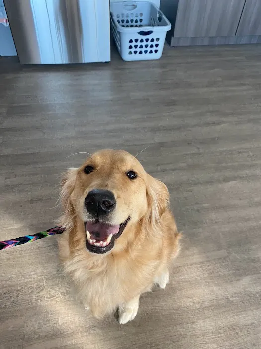 Heritage Oaks Animal Hospital 2
