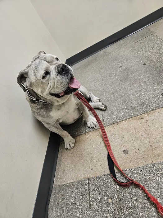 Vetco Total Care Animal Hospital 12
