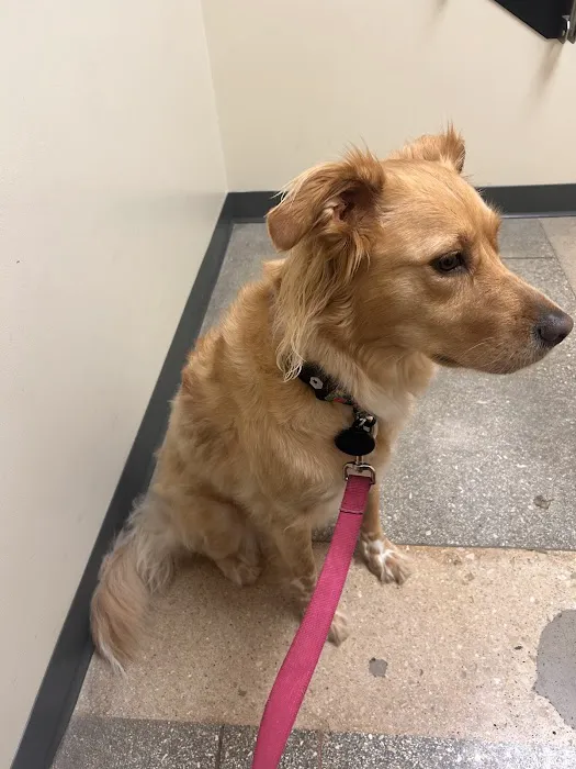 Vetco Total Care Animal Hospital 12