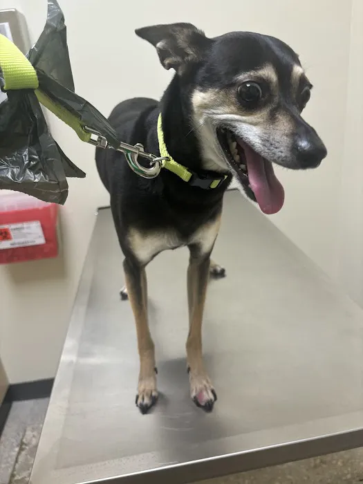Vetco Total Care Animal Hospital 12
