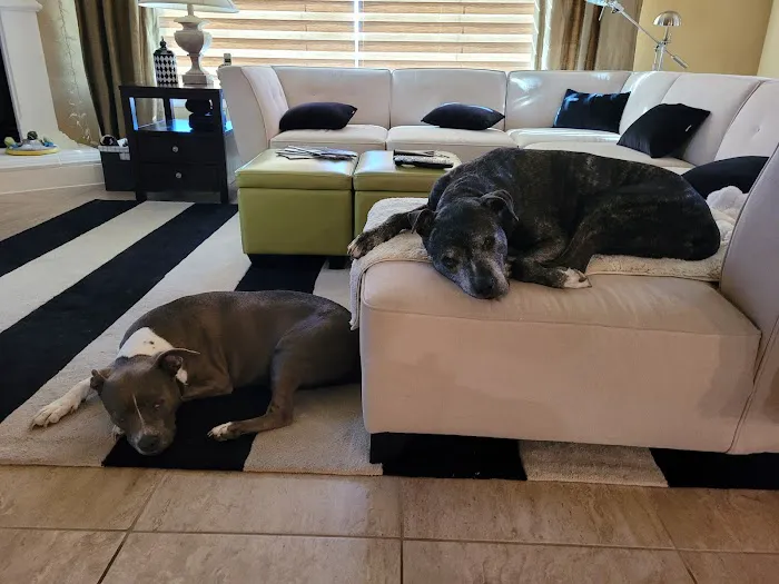 Cibolo Canyons Veterinary Hospital 12