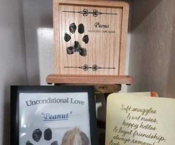 Precious Pets Animal Service