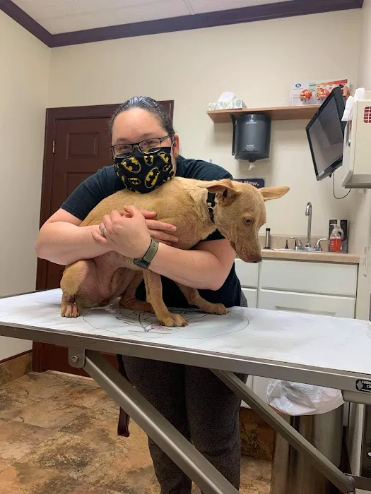 Crestway Animal Clinic 12