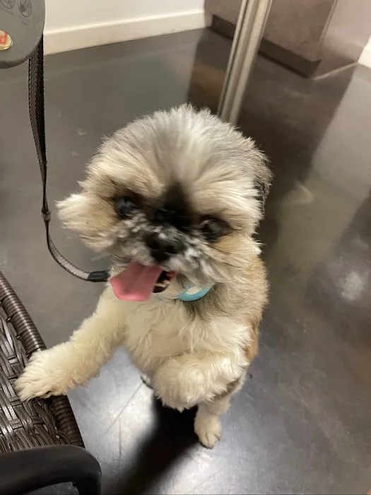 TLC Pet Hospital 12