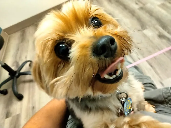 TLC Pet Hospital 12