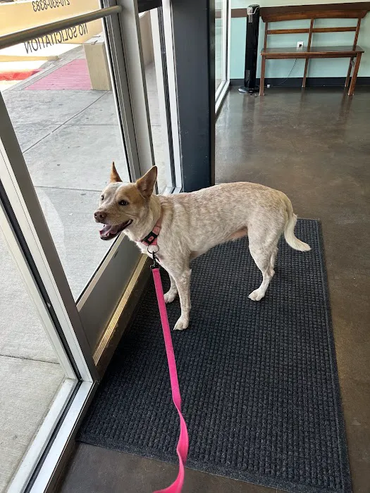 TLC Pet Hospital 12