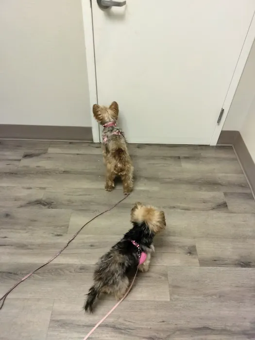 TLC Pet Hospital 12