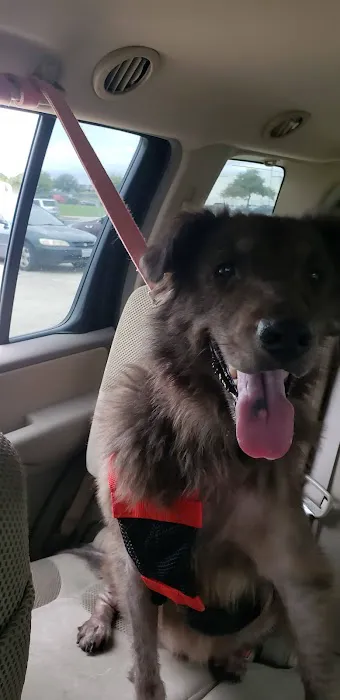 Assure Vet Animal Hospital 12