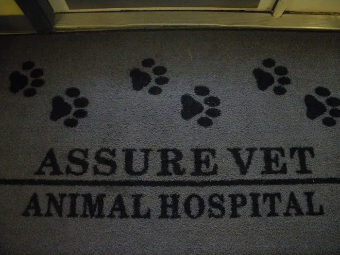 Assure Vet Animal Hospital 12