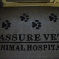 Assure Vet Animal Hospital ico