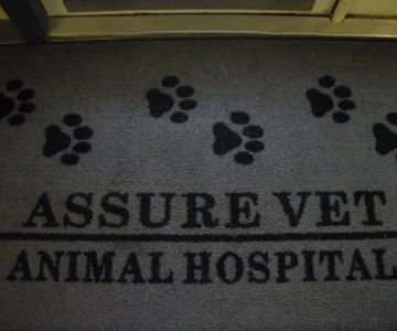 Assure Vet Animal Hospital