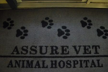 Assure Vet Animal Hospital