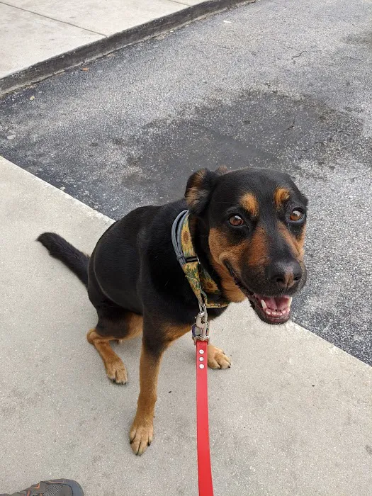 Banfield Pet Hospital 12