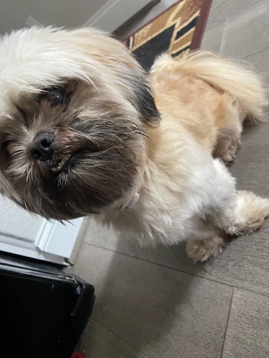 Banfield Pet Hospital 12