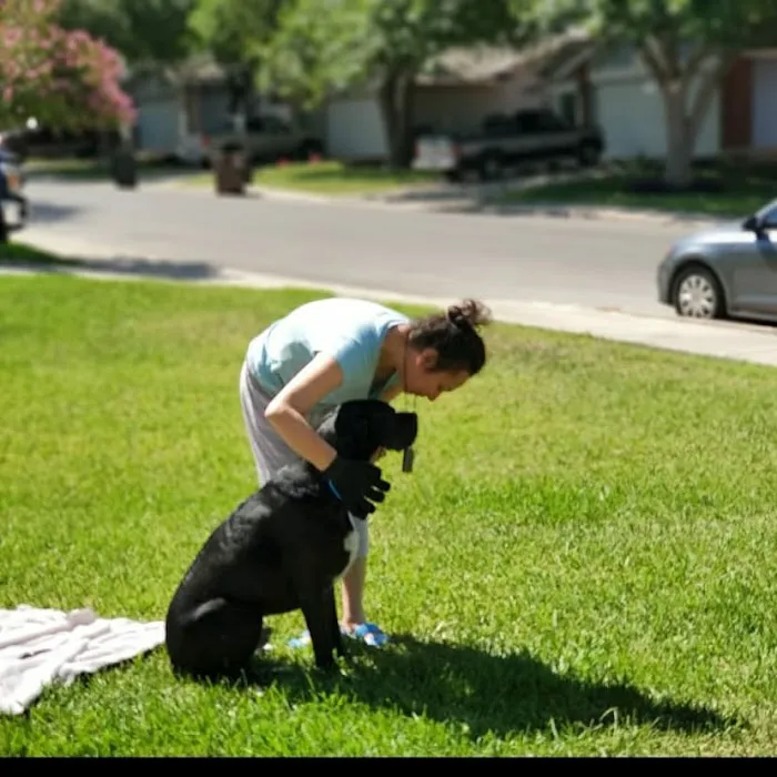Banfield Pet Hospital 12