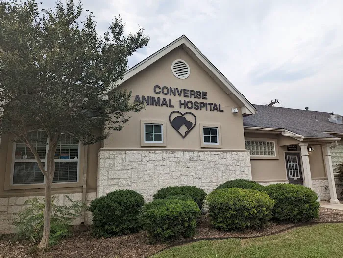 Converse Animal Hospital 8