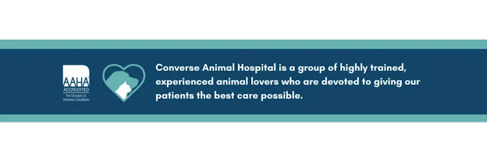 Converse Animal Hospital 1