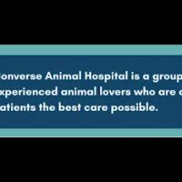 Converse Animal Hospital ico