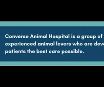 Converse Animal Hospital