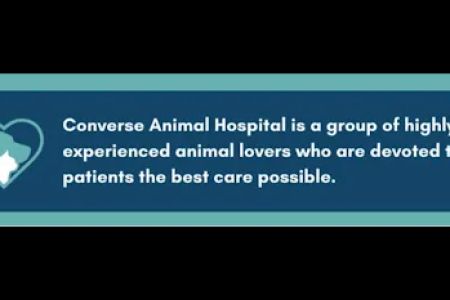 Converse Animal Hospital