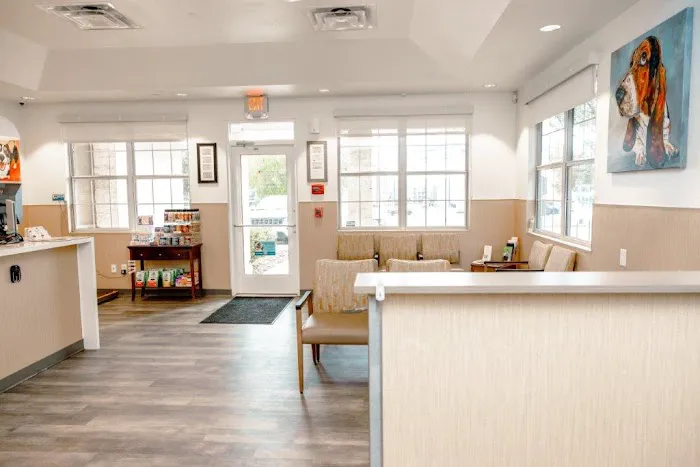VCA Veterinary Hospital of Leon Springs 12