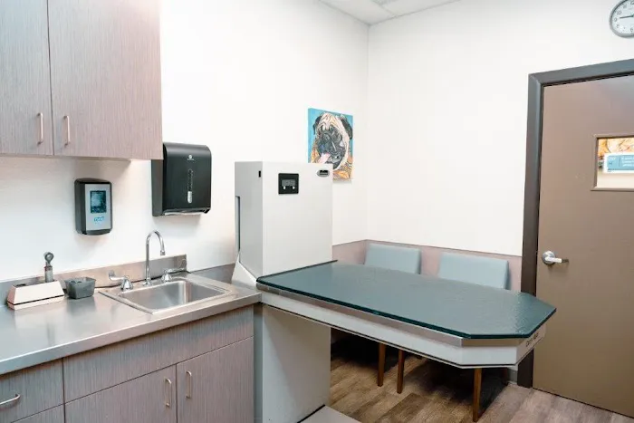 VCA Veterinary Hospital of Leon Springs 12