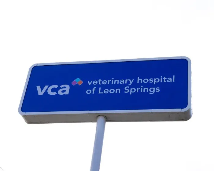 VCA Veterinary Hospital of Leon Springs 12