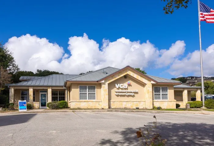VCA Veterinary Hospital of Leon Springs 12