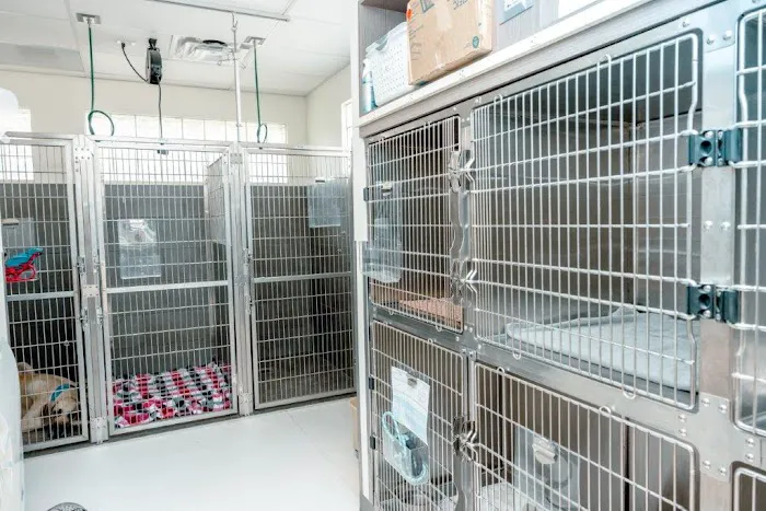 VCA Veterinary Hospital of Leon Springs 12