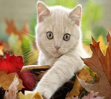 Hooves & Paws Veterinary Clinic 12
