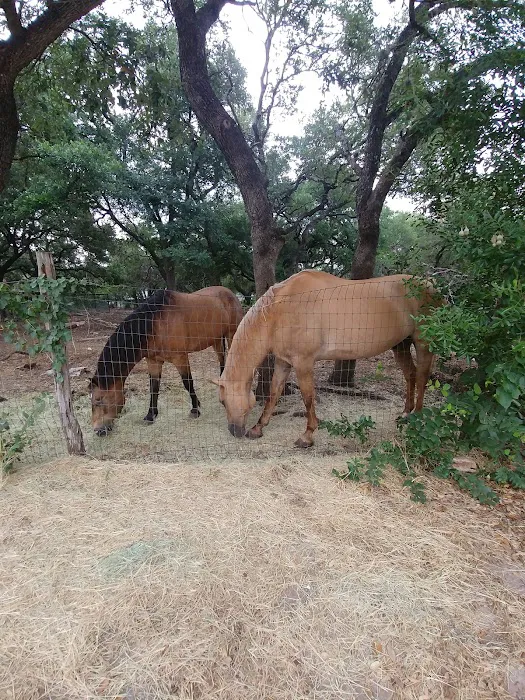 Hooves & Paws Veterinary Clinic 12