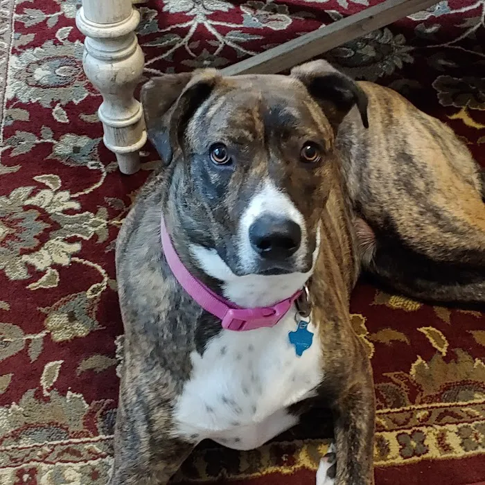 Hooves & Paws Veterinary Clinic 12