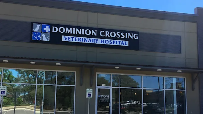 Dominion Crossing Veterinary Hospital 12