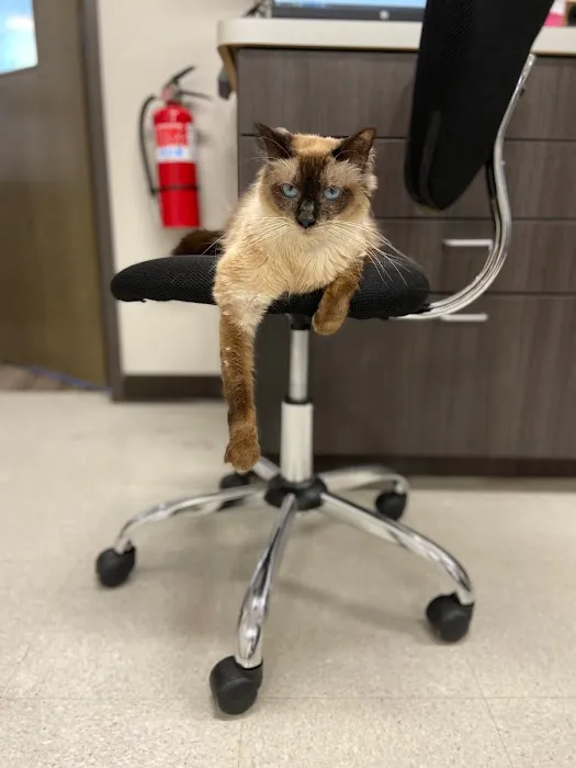 Dominion Crossing Veterinary Hospital 12