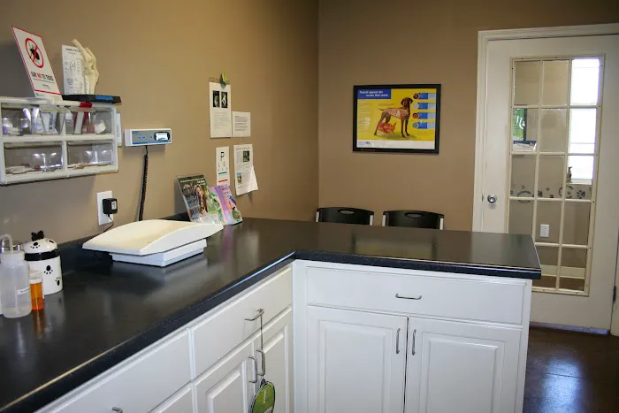 North Blount Animal Hospital 4