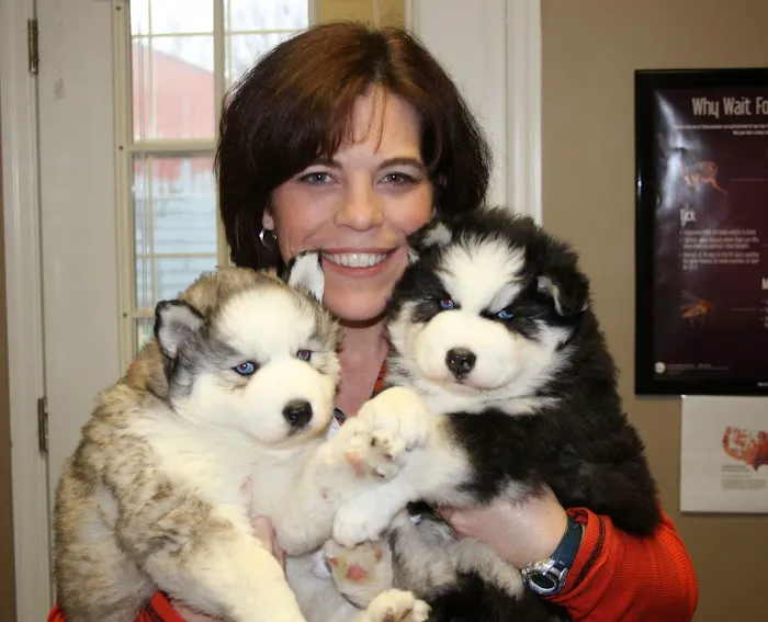North Blount Animal Hospital 6