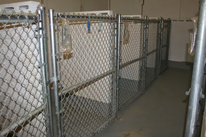 North Blount Animal Hospital 8