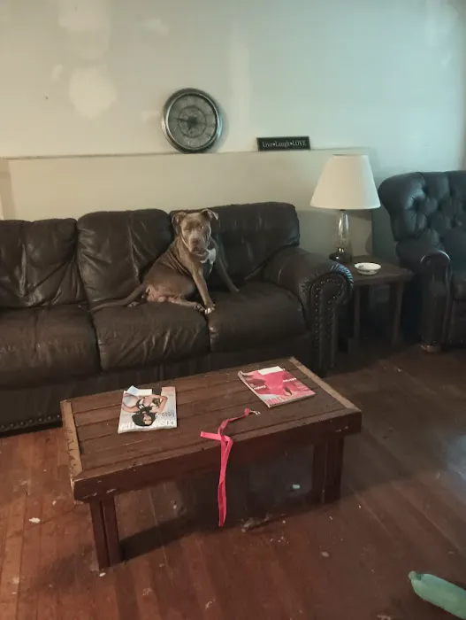 Holly Pond Animal Clinic 12