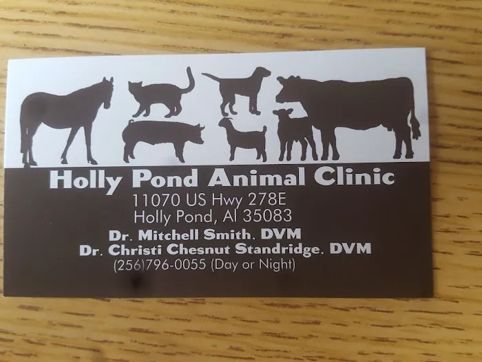 Holly Pond Animal Clinic 12
