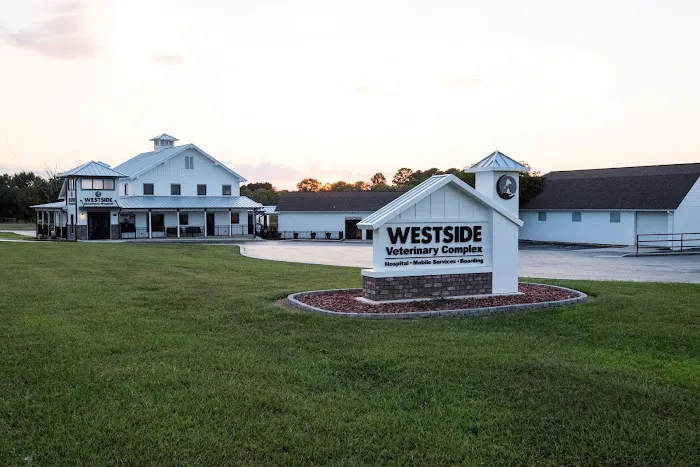 Westside Veterinary Hospital 12