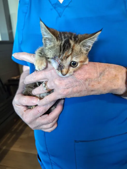 Westside Veterinary Hospital 12