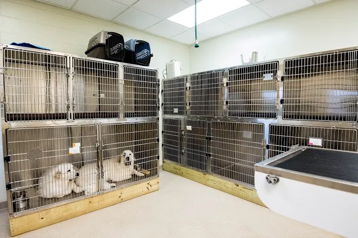 Westside Veterinary Hospital 12