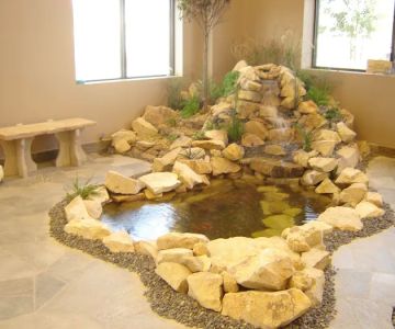 Advanced Aquascapes