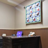 Arab Veterinary Hospital ico