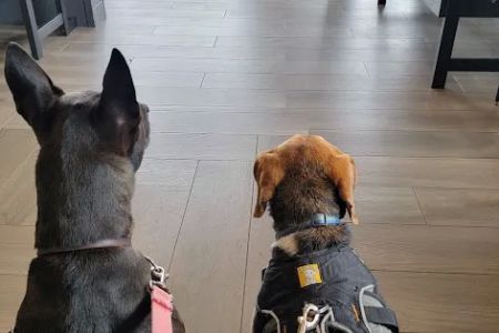 Westside Veterinary Hospital: Wilks Andy DVM
